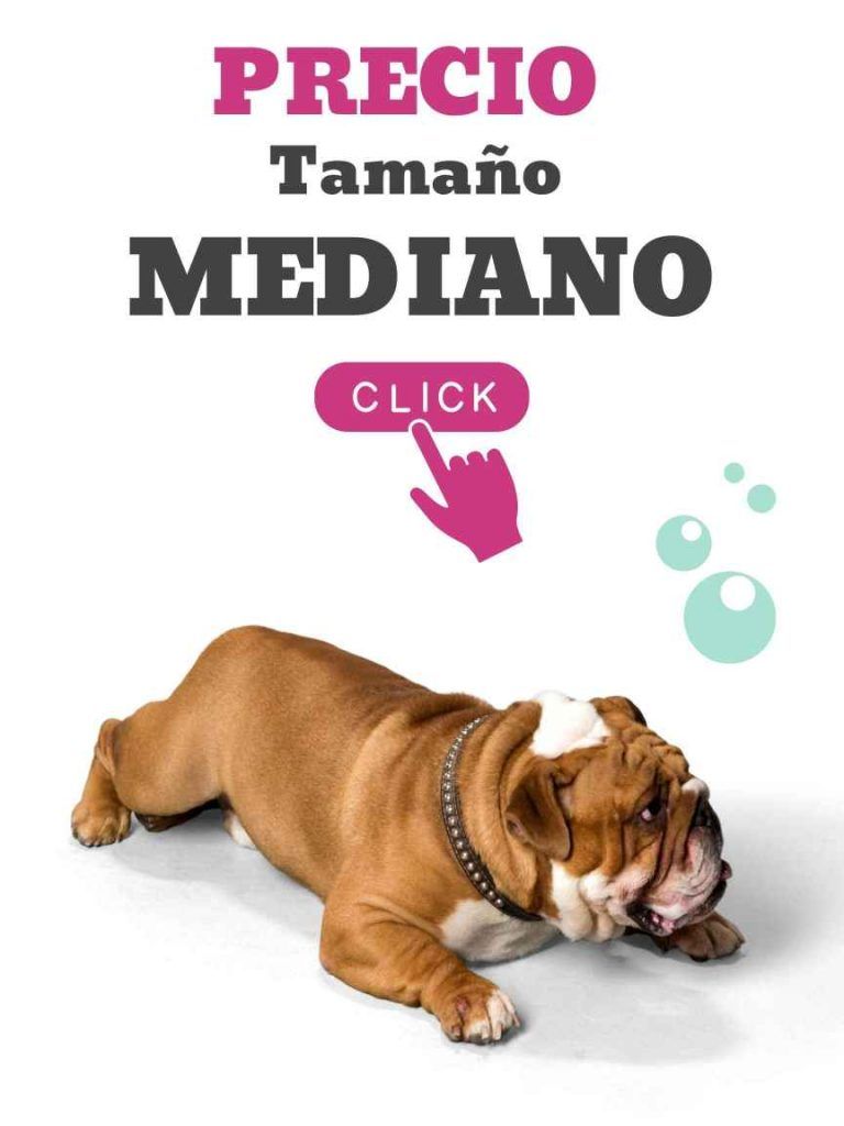 Estética Canina en Tláhuac